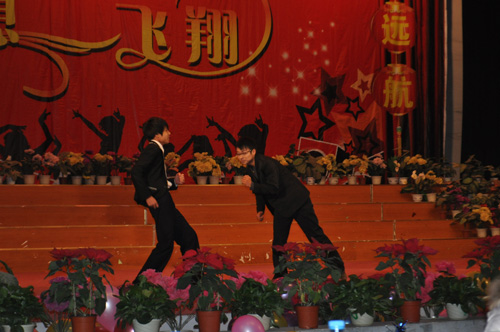 郑州北大青鸟翔天信鸽元旦表演《千年等一回》