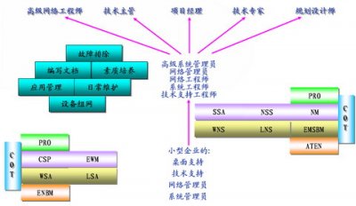 郑州北大青鸟