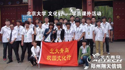 学什么技术好