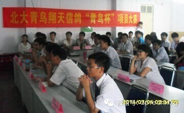 郑州翔天信鸽青鸟杯项目大赛